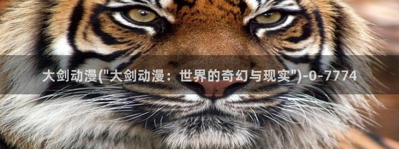 日常动漫:大剑动漫(\