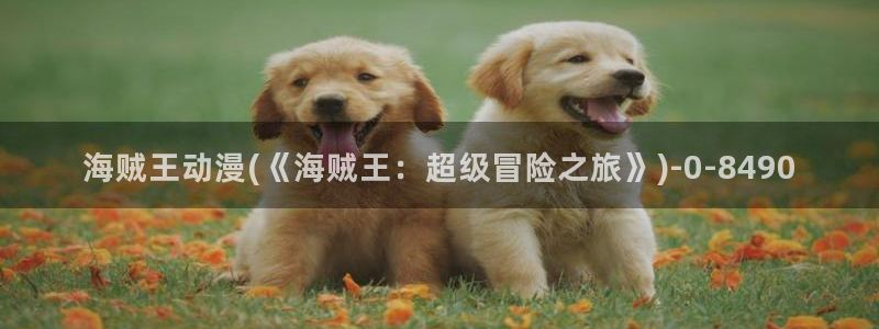 日韩动漫:海贼王动漫(《海贼王:超级冒险之旅》)